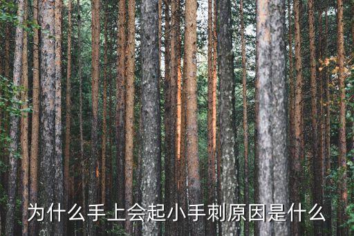 为什么手上会起小手刺原因是什么