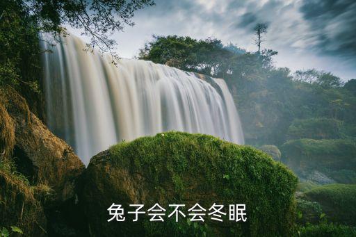 兔子冬眠不，兔子会不会冬眠