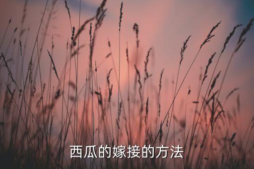 西瓜的嫁接的方法