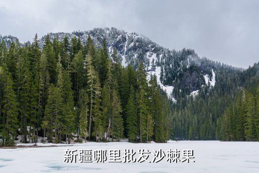 新疆沙棘，沙棘的品种有哪些