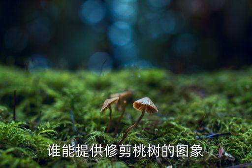 谁能提供修剪桃树的图象