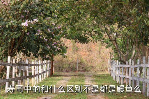 星鳗和鳗鱼的区别，七星鳗鱼与七星鱼有什么区别
