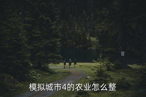 模拟城市4的农业怎么整