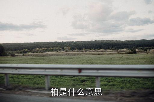 柏的意思和含义，柏的意寓是什么意思