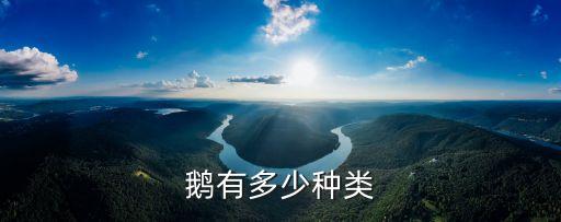 鹅有多少种类