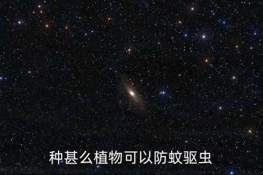 驱虫的植物，什么植物的驱虫效果好