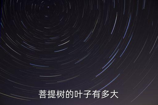 菩提树叶，菩提树的叶子有多大