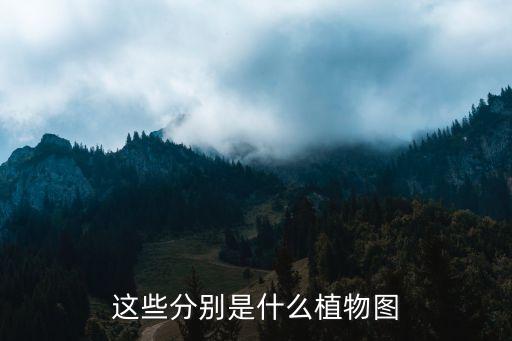 植物图片大全大图，谁有完整的中国植物图鉴