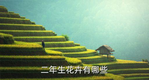 二年生花卉，二年生花卉有哪些