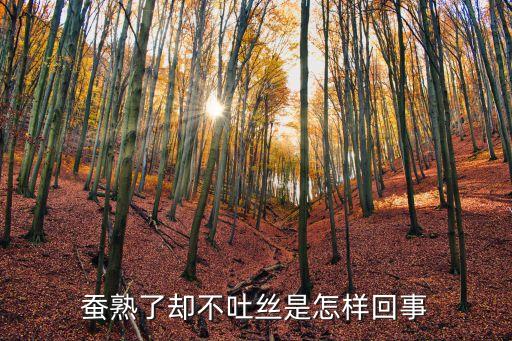 蚕不吐丝，蚕宝宝为什么不吐丝