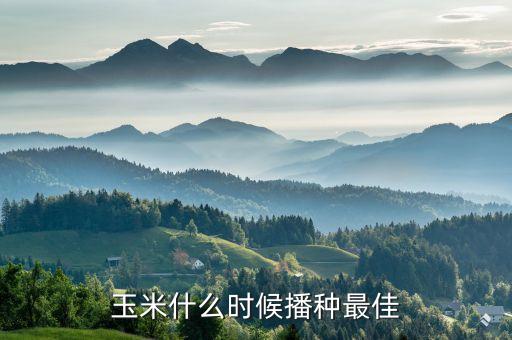 玉米什么时候播种最佳