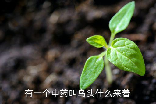 有一个中药叫乌头什么来着