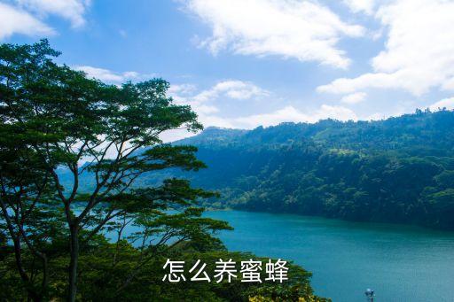 怎么养蜜蜂，蜜蜂怎么养