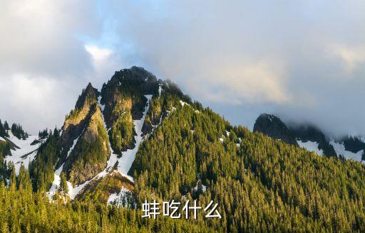 河蚌吃什么，河蚌吃什么