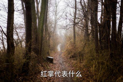 红掌的寓意和象征，红掌代表什么