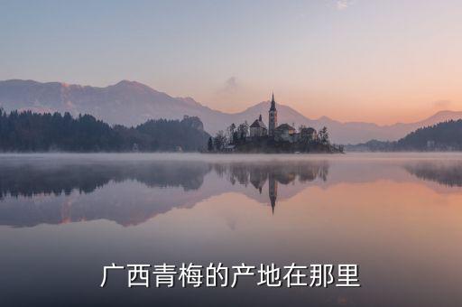 广西青梅的产地在那里