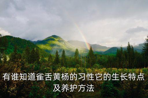 有谁知道雀舌黄杨的习性它的生长特点及养护方法