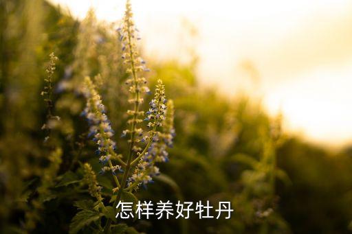 怎样养好牡丹