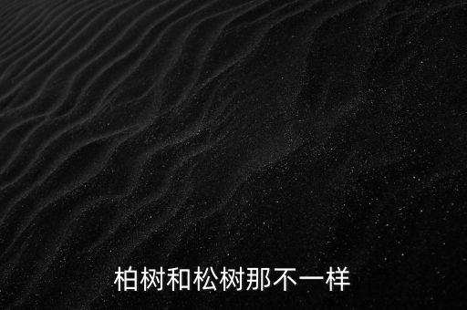 柏树和松树那不一样