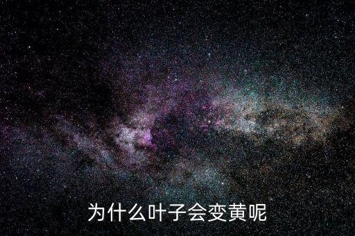 为什么叶子会变黄呢
