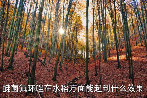醚菌氟环唑在水稻方面能起到什么效果