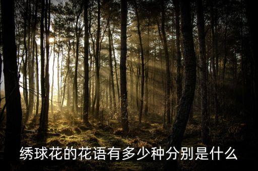 绣球花的花语有多少种分别是什么