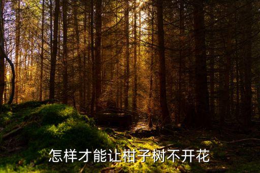 怎样才能让柑子树不开花