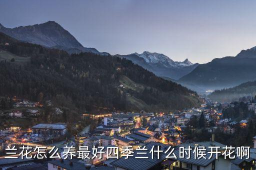 兰花怎么养最好四季兰什么时候开花啊