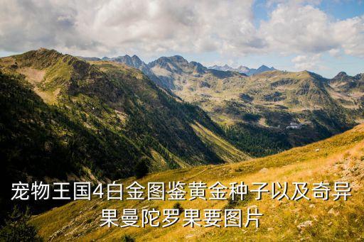 宠物王国4白金图鉴黄金种子以及奇异果曼陀罗果要图片
