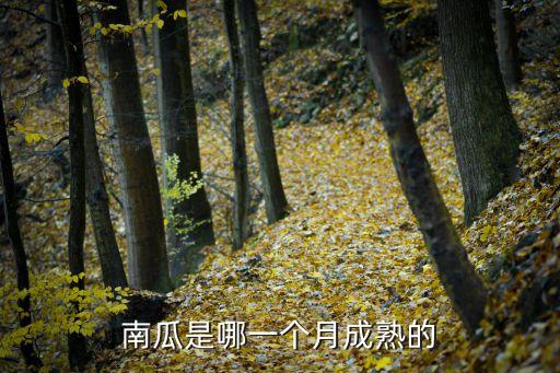 南瓜什么时候成熟，南瓜什么季节成熟