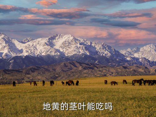 地黄的叶子能吃吗，地黄的叶能吃吗