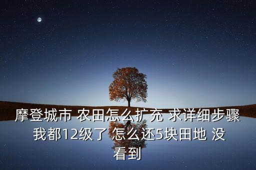摩登城市 农田怎么扩充 求详细步骤 我都12级了 怎么还5块田地 没看到