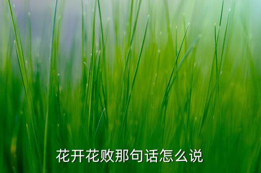 花开花败，花开 花败 何日君再来 怎么理解