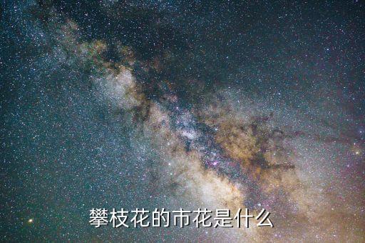 攀枝花是什么花，攀枝花的市花是什么