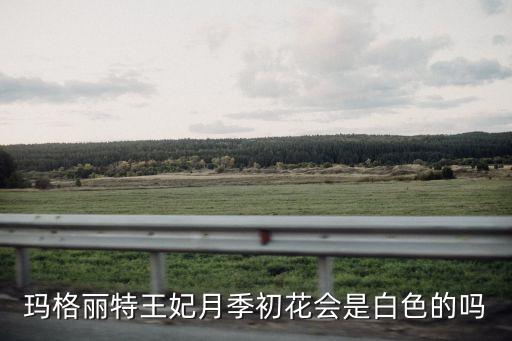 玛格丽特王妃月季，玛格丽特王妃月季初花会是白色的吗