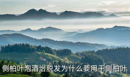 侧柏叶的功效，侧柏叶是什么叶片