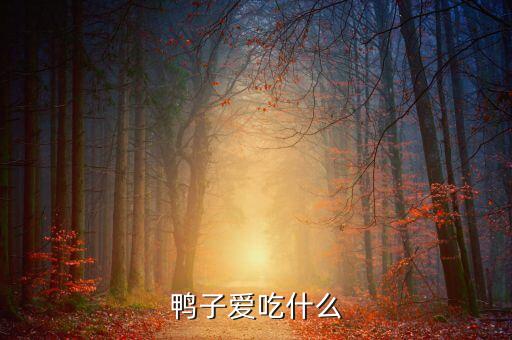鸭子爱吃什么