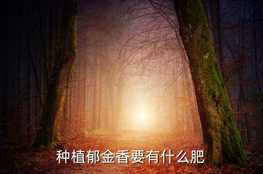 种植郁金香要有什么肥