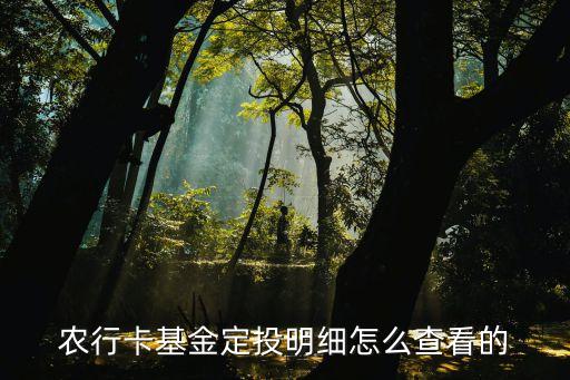 农业基金怎么查看交易记录，农行卡基金定投明细怎么查看的
