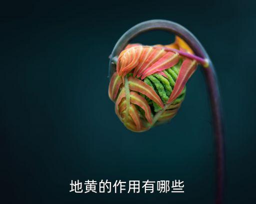 地黄的功效与作用，地黄的作用有哪些