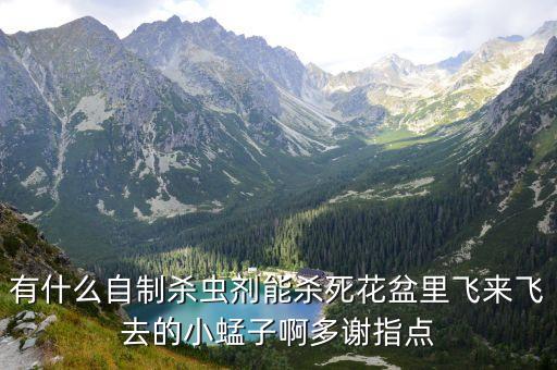 自制杀虫剂，怎样自制杀虫气雾剂
