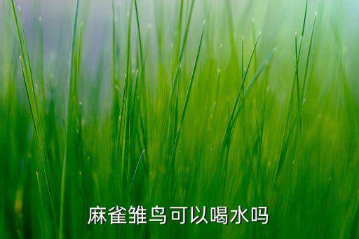 麻雀雏鸟可以喝水吗