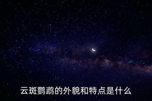 云斑，云斑鹦鹉的外貌和特点是什么
