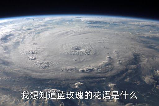 我想知道蓝玫瑰的花语是什么