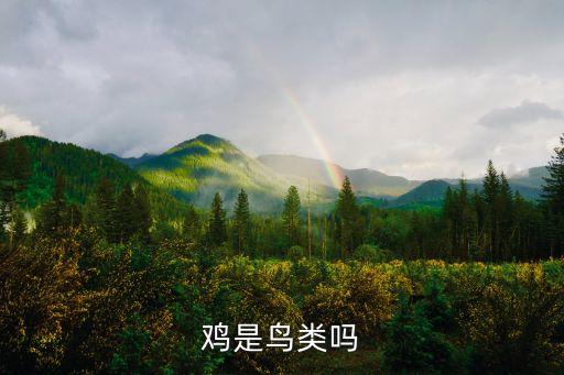 鸡是鸟类吗