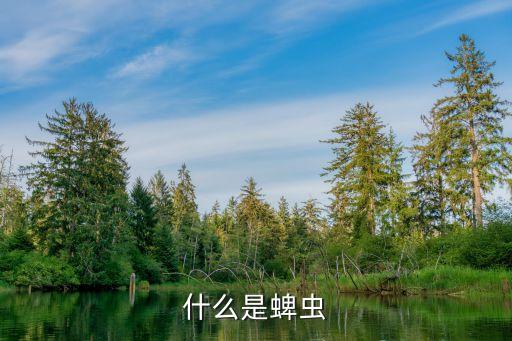 什么是蜱虫