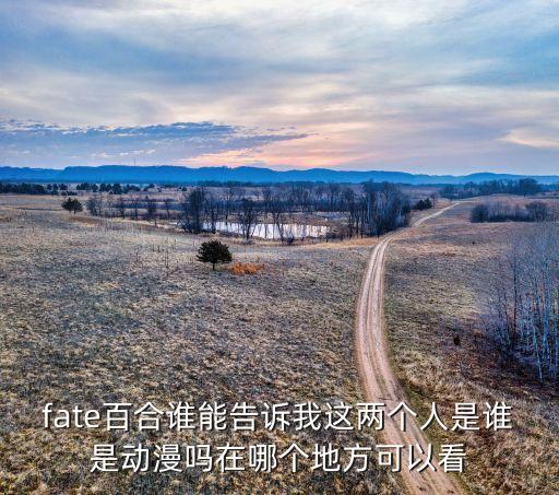圣星百合，圣诞百合花语