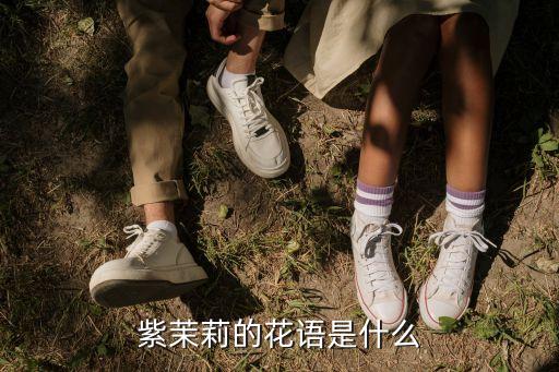 紫茉莉的花语是什么