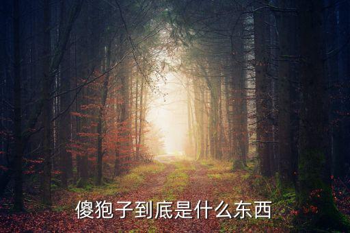 傻袍子，傻狍子是什么