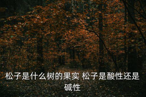 松子是什么树的果实 松子是酸性还是碱性